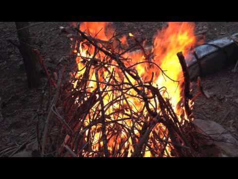 My Crew Knows What You Did In The Dark