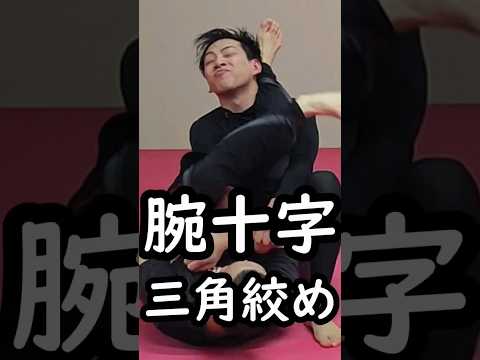 三角絞め 腕十字 アームバー トライアングルチョーク 🥋☺