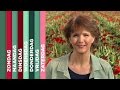 TV West Weekoverzicht 2 april 2016