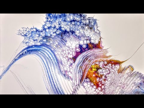 (153) Pretty Pearls And Swirls ~ Catalyst Wedge ~ Double Video