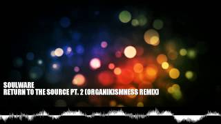 Soulware -  Return to the Source Pt 2 Organikismness Remix