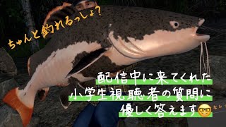 【釣りゲー】雑談しながら大ナマズ釣ったりピラルクー釣ったりハウツーしながら「フィッシングプラネット」(fishing planet)LIVE