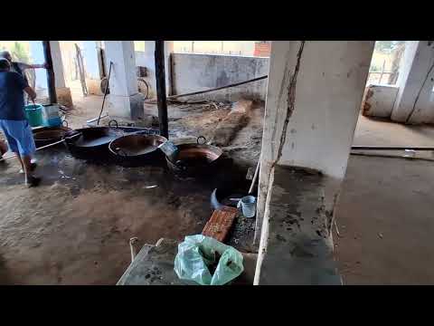 Engenho em frecheirinha mais de 100 anos de tradição 