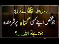Jo Shkhs Apne Kise Gunah Par Sharminda Hota Hai Islam Ki Bat Hadees Islamic Urdu PAKISTAN