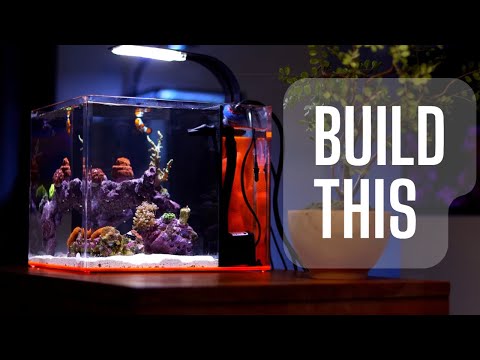 How to Set up a Saltwater Aquarium!