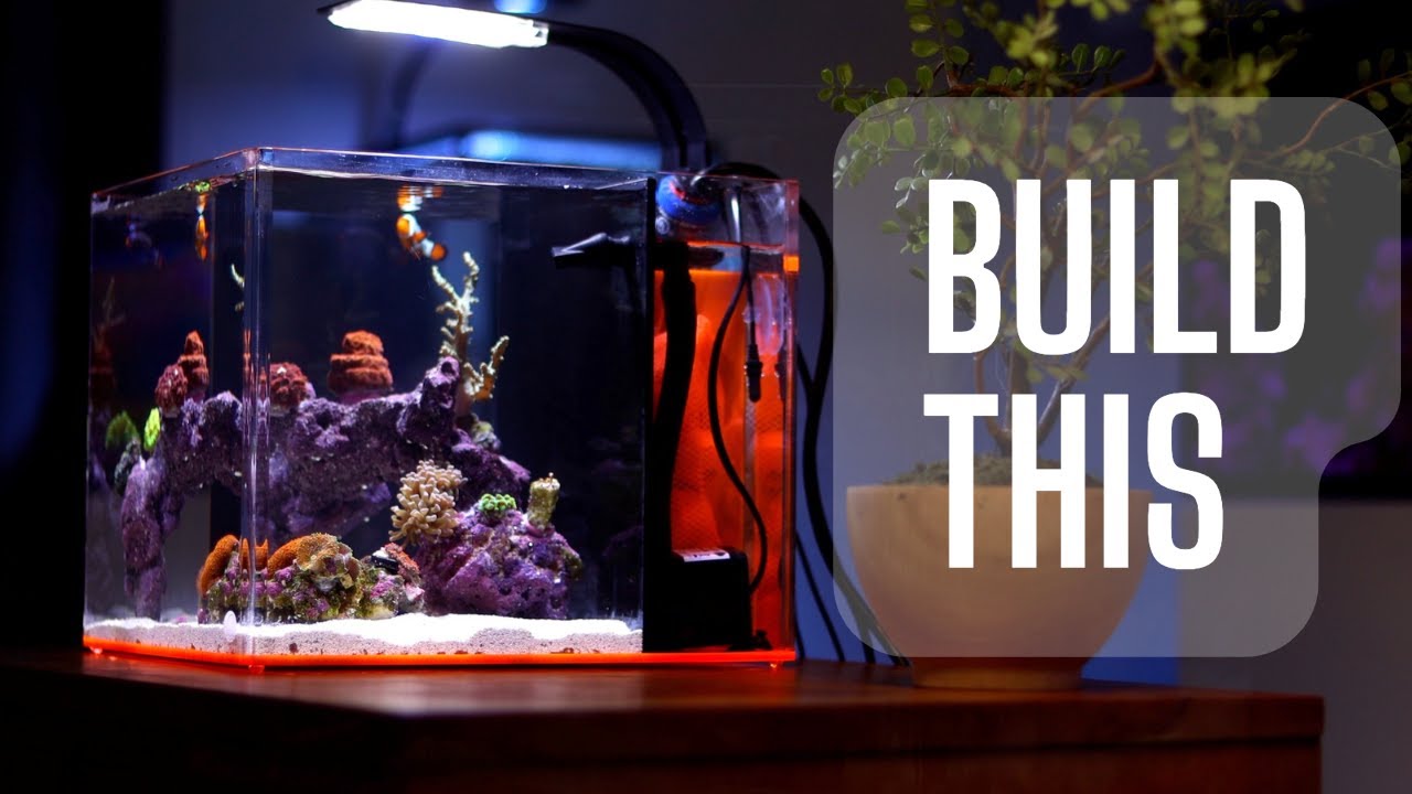 How to Set Up a Saltwater Aquarium: Beginner Blueprint for Stable First 90 Days