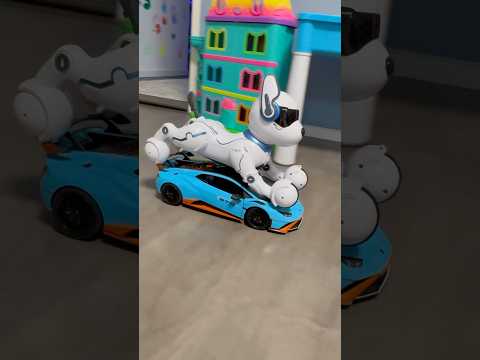 Ziggy Roboter Hund hast Lamborghini #comedy #funny #viralshorts #viralvideo #funnyfamily