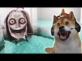 DIKEJAR KEJAR MONSTER ULAR YANG MENGERIKAN THE CLASSROOMS END