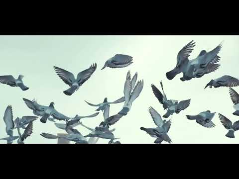 Bashie & Amorf & Fatih Yılmaz - Umi ( #ArabicRemix )