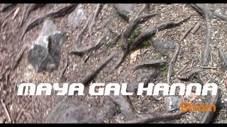 Video maya gal hanna - STROM (z koncertu na vernisáži ZELENÝ OBJEKTÍV 