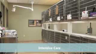 Winslow Animal Hospital Tour