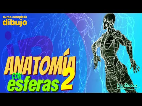 ANATOMY WITH SPHERES 2