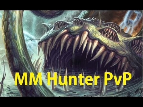 5.4 MM Hunter PvP - My Perfect Expansion - Patch 5.4