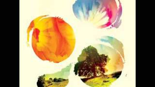 Tycho - PBS/Kae