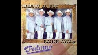 Ramon Ayala - Tributo al rey (Palomo) - Que bonita primavera