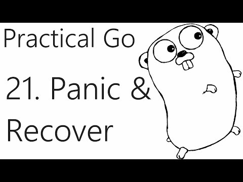 Panic and Recover Go Lang Practical Programming Tutorial p 21