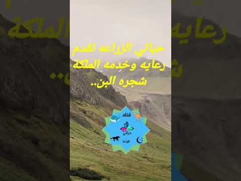 , title : 'رعايه وخدمه شجره البن'