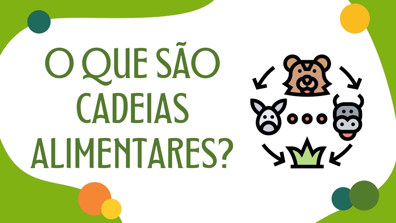O QUE SÃO CADEIAS ALIMENTARES? | RESUMO ESCOLAR