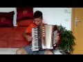 Otherside. Red Hot Chilli Peppers. Accordion ...