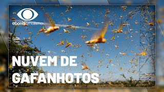Miniatura do vídeo