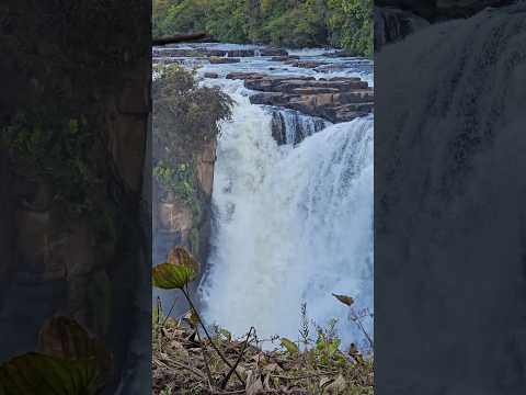 Iguaçu do cerrado #matogrosso #cachoeira #cataratas #turismo #ecoturismo #shorts #viral #natureza