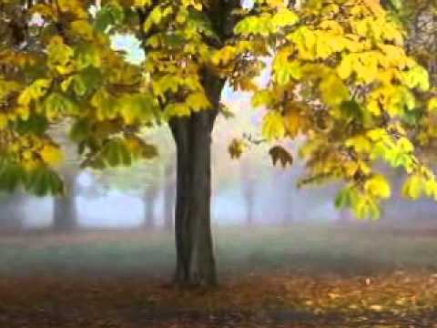 Hazme tu Siervo.wmv Sub. Latino