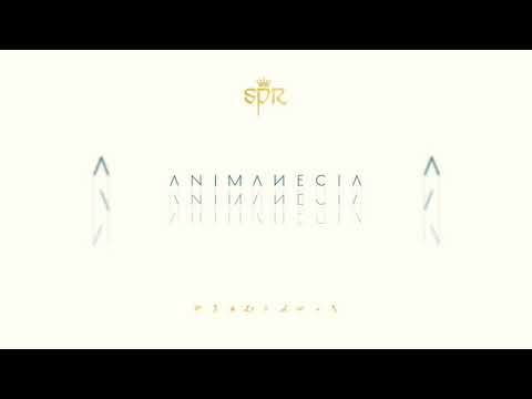 5. San Pascualito Rey - A Pesar de Mi (Audio Oficial)