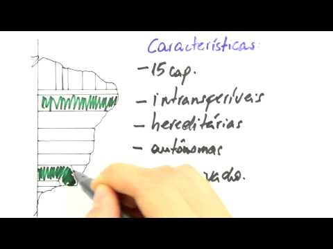 Me Salva! Extensivo de História - COL02 - Capitanias Hereditárias