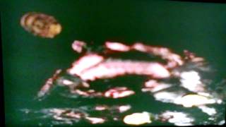 Directo Al Corazon ~ Pepe Aguilar