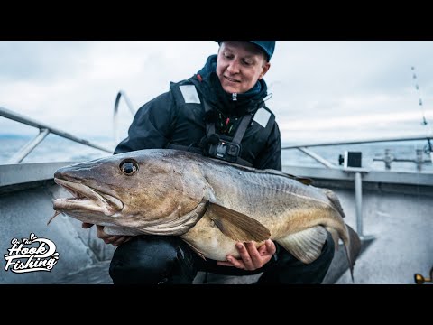Cod Fishing in Norway - BEST Cod fishing in The World!