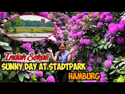 Sunny day at Stadtpark Hamburg ‼️