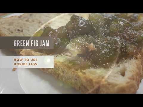 download lagu mp3 mp4 Raw Fig Jam, download lagu Raw Fig Jam gratis, unduh video klip Raw Fig Jam