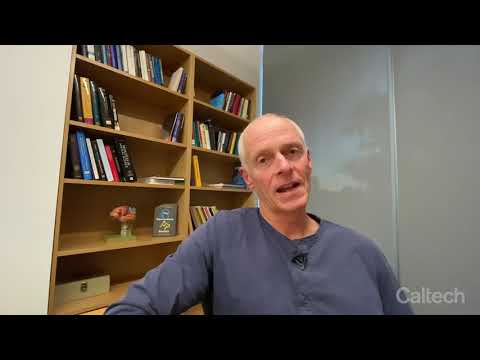 The Caltech Effect: Ralph Adolphs on David Anderson