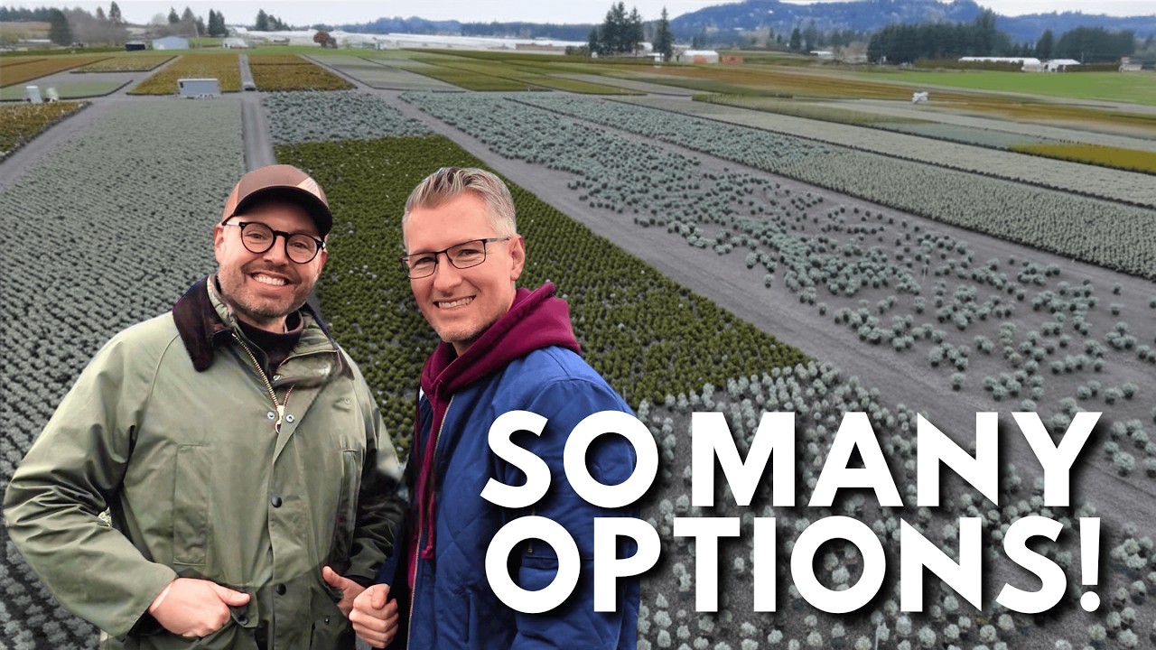 Choosing Trees & Evergreens for Our Garden 🌿 2026 Plant Picks