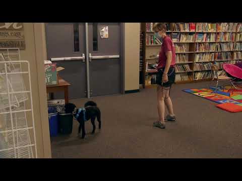 Jury 07112020 Batavia Elite Library