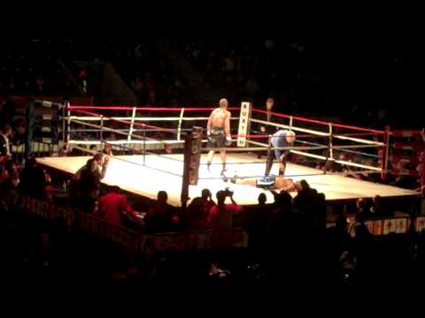 Heavy Weight Knockout: Daley Vs Chestnut