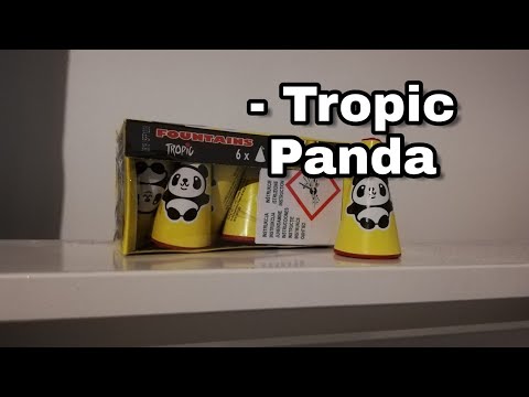 Panda Tropic (0819)