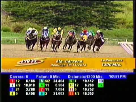 Resumen Domingo, 10 de Noviembre de 2013 - La Rinconada