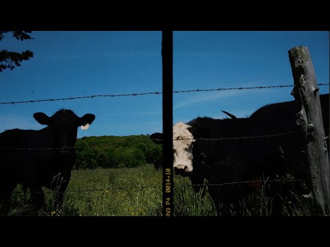 Garr - Haystack (Official Music Video)