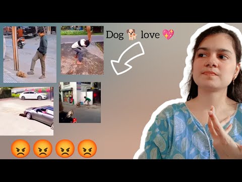 {{dog not criminals🙏🏻🥺}}... God love All dog 🐕🫶🏻🙏🏻❤️ #deaf 