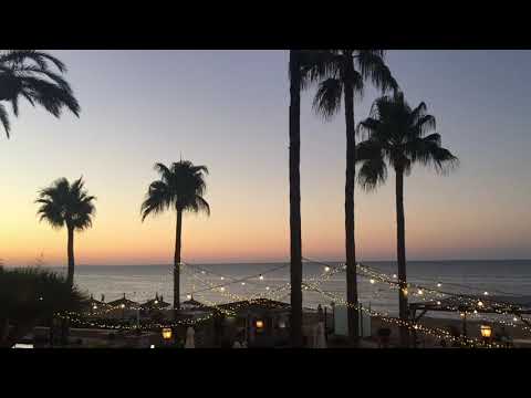 Orange blossom - At The Sea | Yani Martinelli