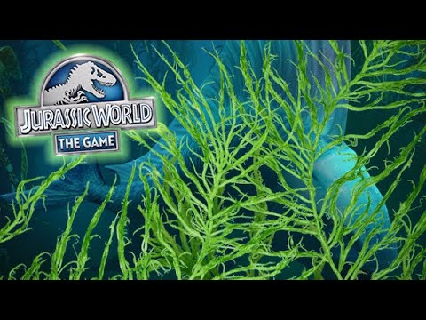 NEW AQUATIC SUPER HYBRID COMING SOON (JURASSIC WORLD)