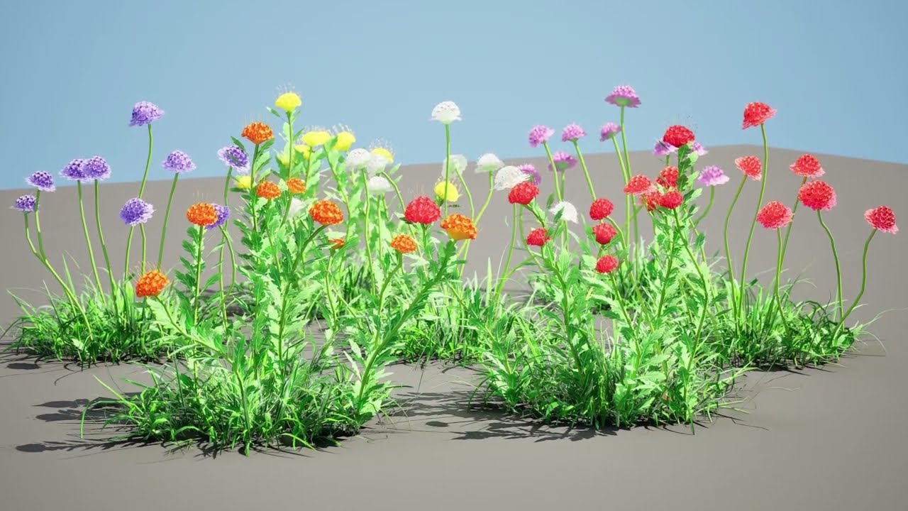 7 Pincushion Blooms collection 3D Model