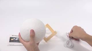 Enchanting Luna Moonlight Lamp