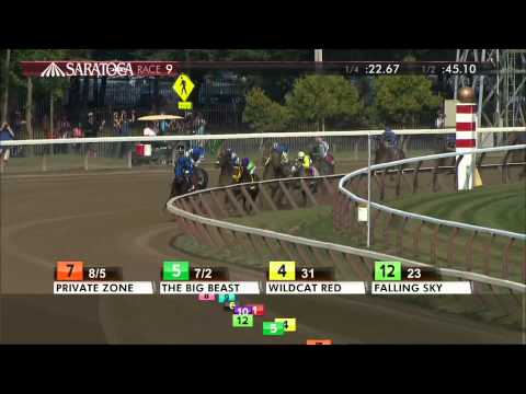 Private Zone - 2015 Forego Stakes