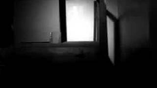 murder by death - i&#39;m afraid of who&#39;s afraid of virginia wol