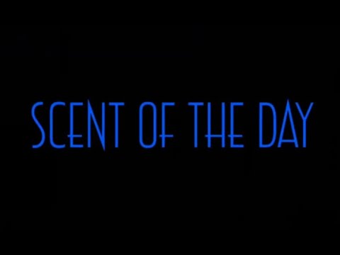 SCENT OF THE DAY