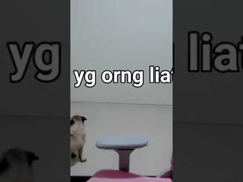 yang aku liat music : @KeisyaLevronkaChannel