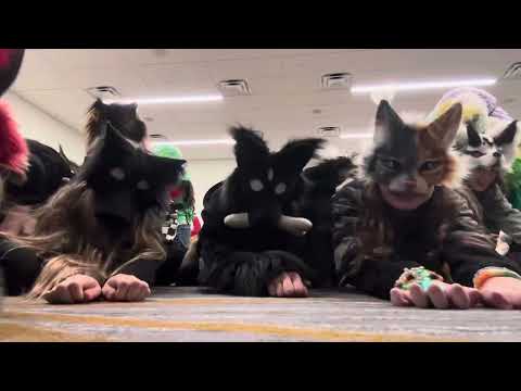 At a therian meet up at con!!!!#therian#quadrobics#meetup#furry#fun