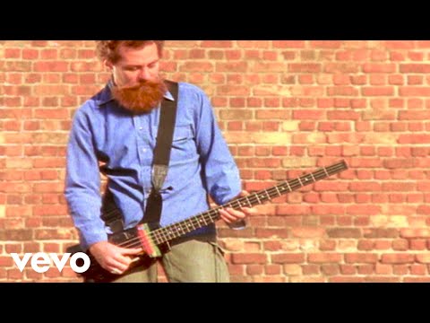 Os Paralamas Do Sucesso - Coche Viejo